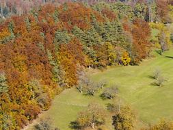 Landscape Fall Autumn