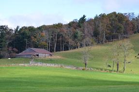 Farm Landscape Field