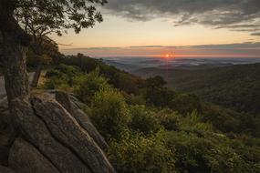 Sunrise Landscape Scenic