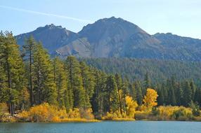 Landscape Autumn Scenic