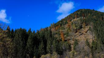 Hinterriss- Closely Nature Autumn