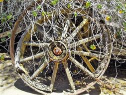 Wagon Wheel Old