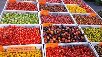 ripe tomatoes on sale in a box