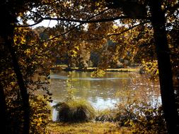 Autumn Lake Nature