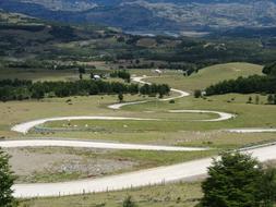 road grass trees mountains