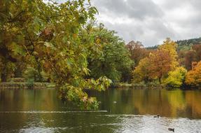 Lake Autumn Park