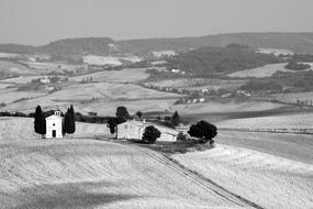 black and white, agricultural fields in Tuscany