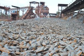 stone road at the plant