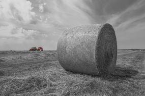 Hay Bales Tractor Harvest