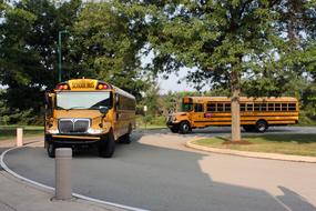 School Buses on road