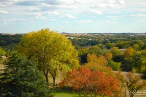 beautiful landscape in color