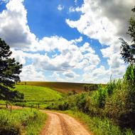 Interior Agriculture Roça