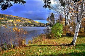 Autumn Landscape Nature