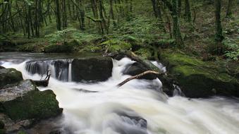 River Water Rocks