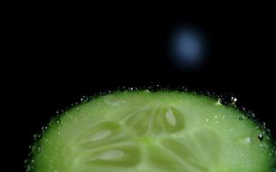 cucumber with water drops
