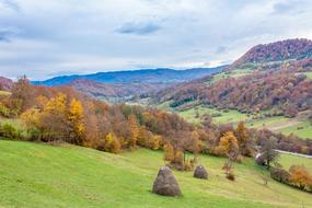 Village Trees Autumn