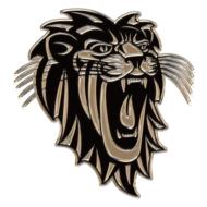 lion head on the embroidery