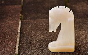 Horse Head toy