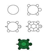 green turtle as drawing