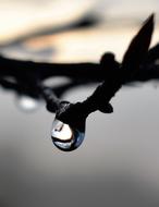 Drop Of Water Dew Dewdrop