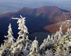 Slovakia Snowy Country forest