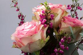Bouquet Rose Erika