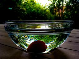 Egg Food Water