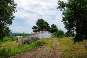 old house by the road