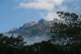 Mountain Sky Trees