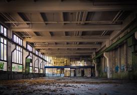 autumn foliage in an abandoned building