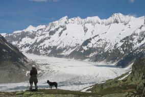 D Aletsch Glacier Mountain