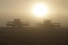 Combine Harvest Agriculture