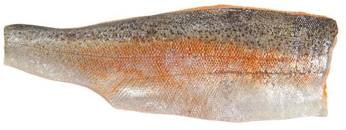 Seafood Sea Trout