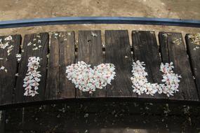 heart shaped flower petals on a tree