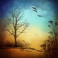 Beautiful drawing of the birds, flying above the trees, at colorful and beautiful sky with the clouds