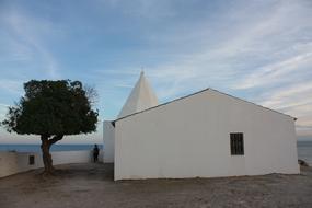 House and Tree