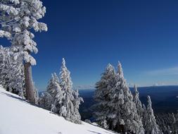 Landscape of Scenic Snowy Brokeoff mountain