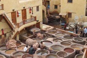 Tannery Morocco