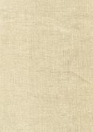 Texture Structure drawing