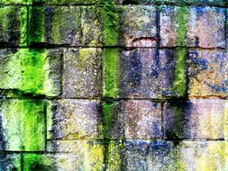 green Stones Wall Moss