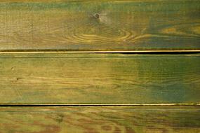 green Wood Texture Background