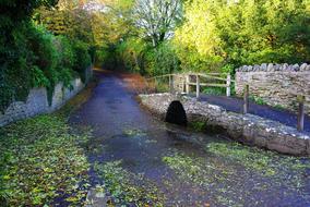 Dorset Village Autumn