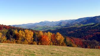 golden autumn forest in the mountains