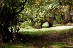 Forest Pescocostanzo Italy