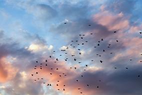 Sunset Clouds Cloudscape