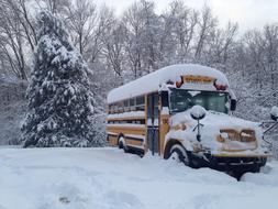 Bus Winter Snow yellow