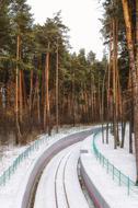 Winter Forest Railway