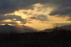 Nature Sun Sunset