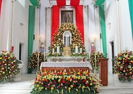 Mexico Church flower