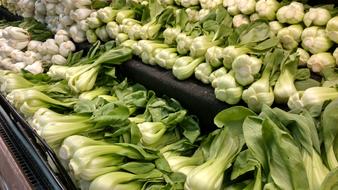 tasty healthy green vegetables